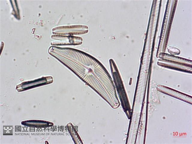 登錄號:A00004481藏品圖，第4張