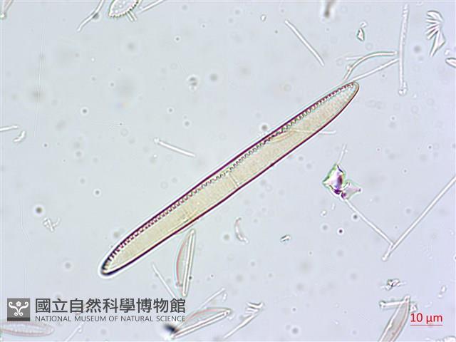 登錄號:A00004630藏品圖，第3張