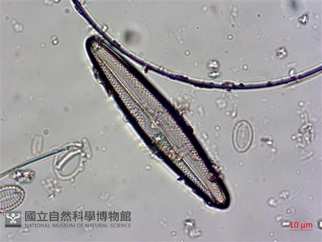 登錄號:A00004530藏品圖，第4張
