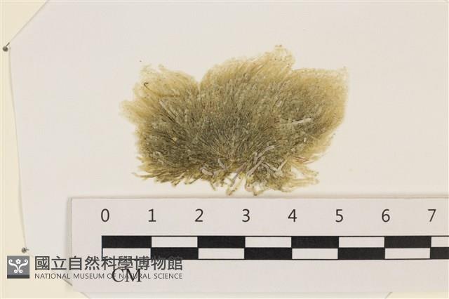 登錄號:A00002330藏品圖，第1張