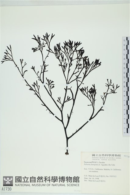 登錄號:A00001730藏品圖，第1張