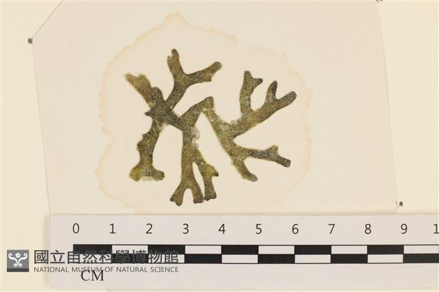 登錄號:A00005150藏品圖，第1張