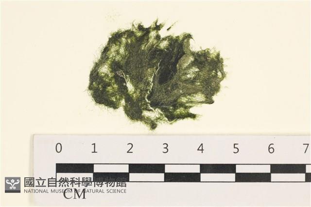 登錄號:A00005550藏品圖，第1張