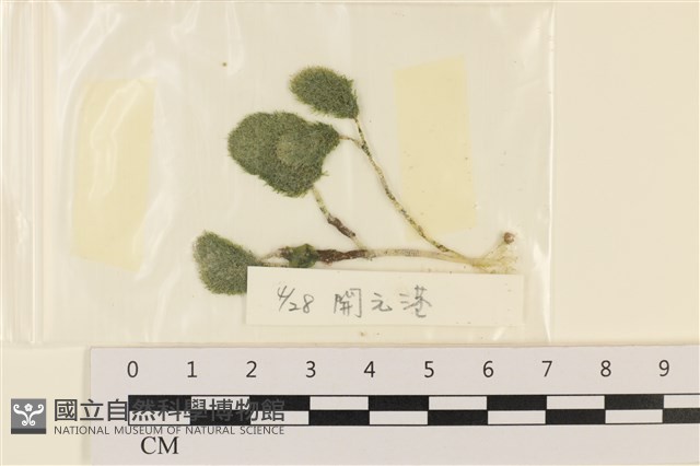 登錄號:A00001450藏品圖，第1張