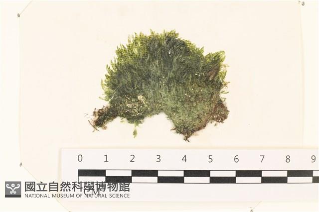 登錄號:A00002220藏品圖，第1張