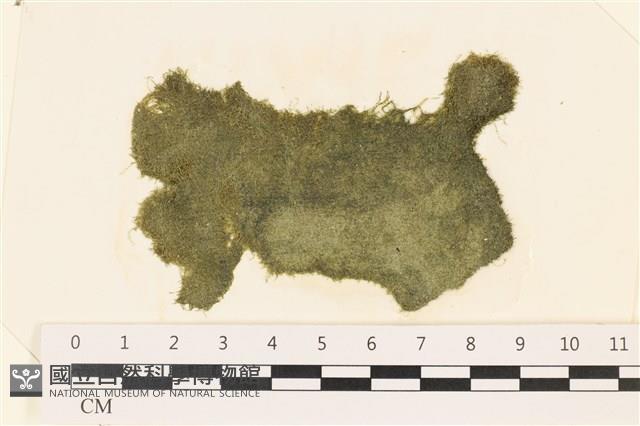 登錄號:A00002420藏品圖，第1張