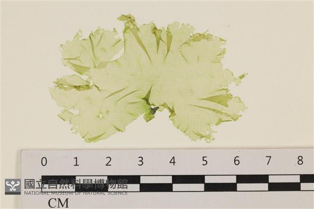 登錄號:A00006420藏品圖，第1張