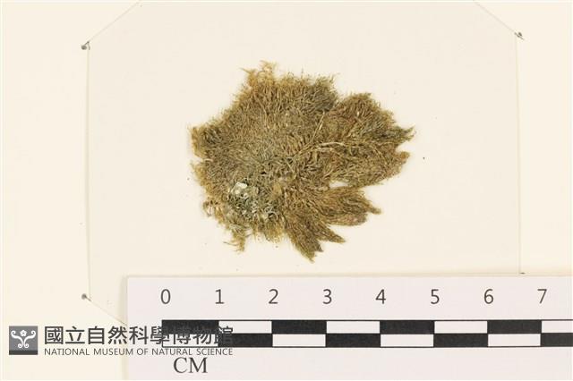 登錄號:A00005320藏品圖，第1張