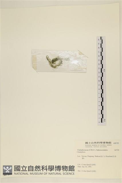 登錄號:A00006720藏品圖，第3張