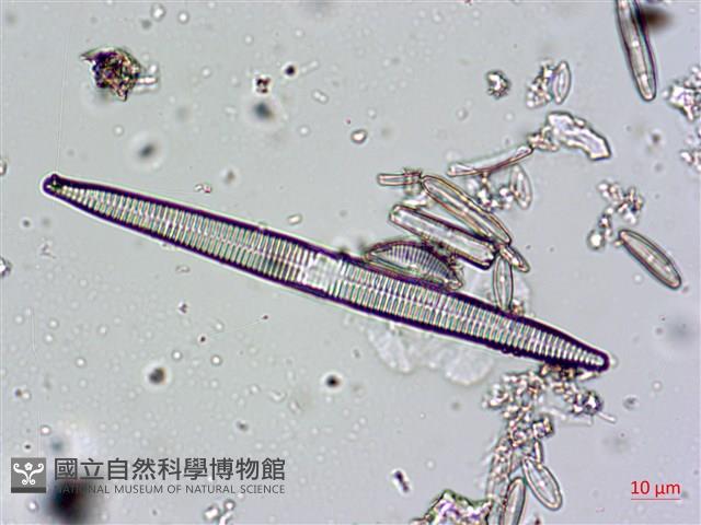 登錄號:A00004670藏品圖，第4張