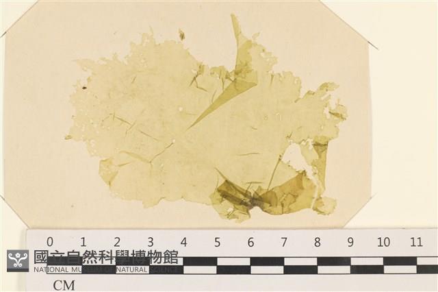 登錄號:A00005070藏品圖，第1張