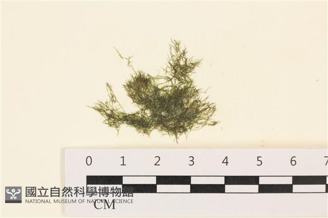 登錄號:A00000170藏品圖，第1張