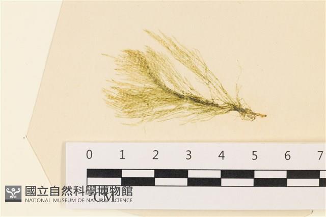 登錄號:A00008010藏品圖，第1張