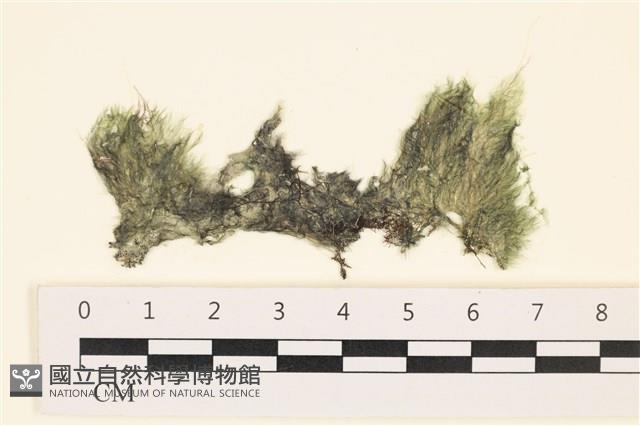 登錄號:A00001010藏品圖，第1張