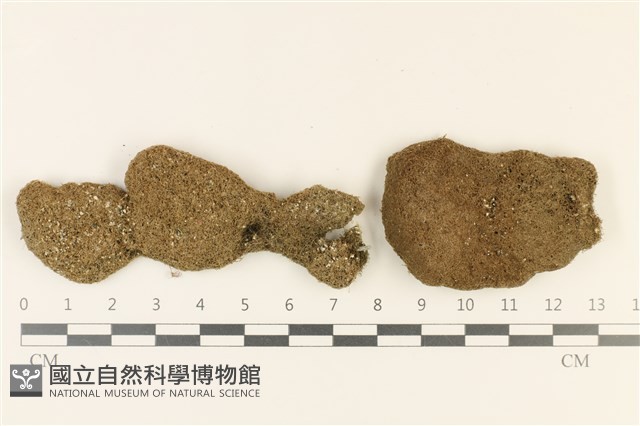 登錄號:A00001490藏品圖，第1張