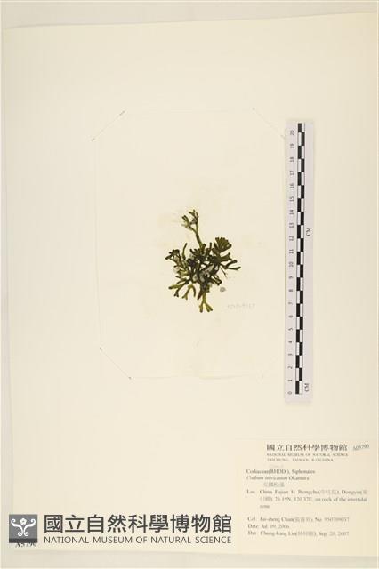登錄號:A00005790藏品圖，第3張