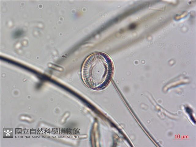 登錄號:A00004640藏品圖，第4張