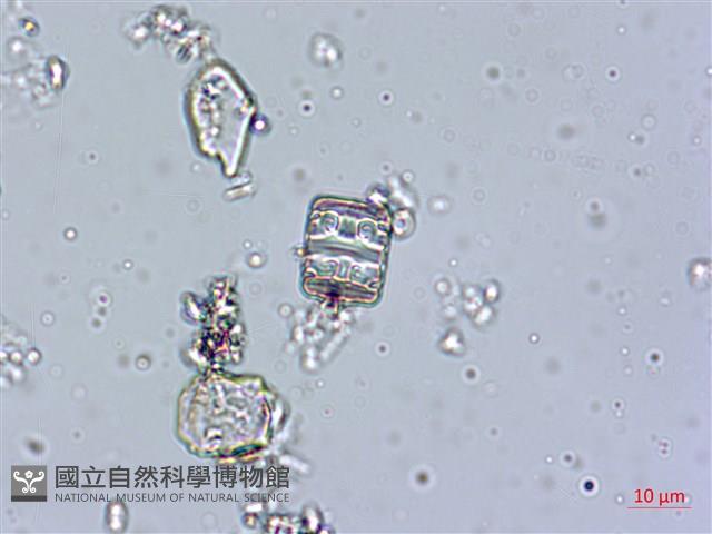 登錄號:A00004540藏品圖，第4張