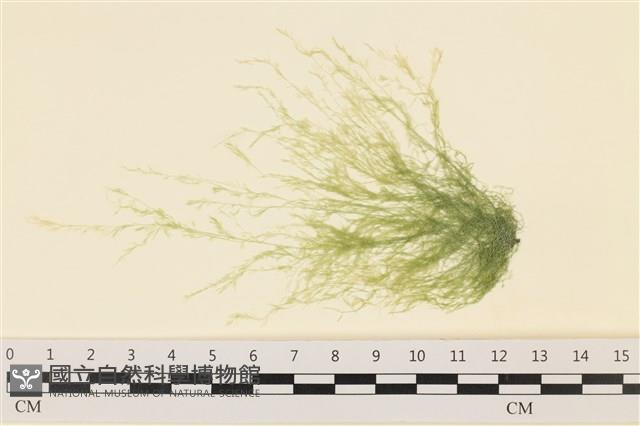 登錄號:A00000540藏品圖，第1張