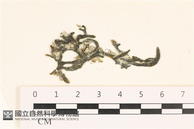 登錄號:A00002440藏品圖，第1張