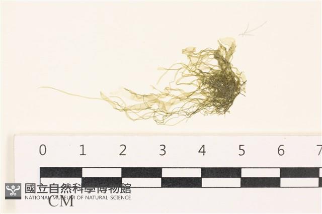 登錄號:A00003440藏品圖，第1張