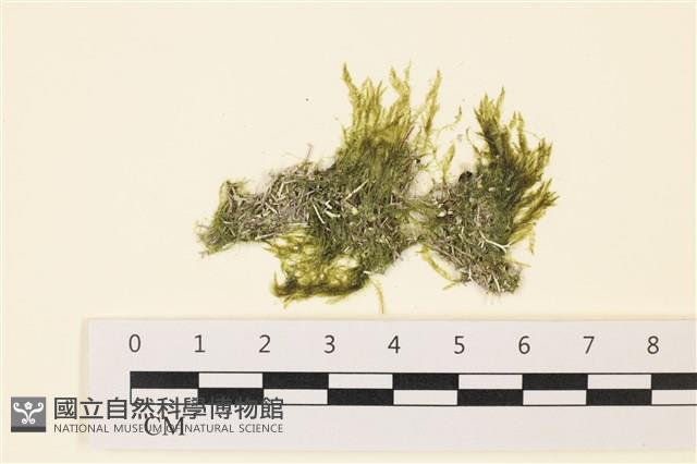 Accession Number:A00001460 Collection Image, Figure 1, Total 3 Figures