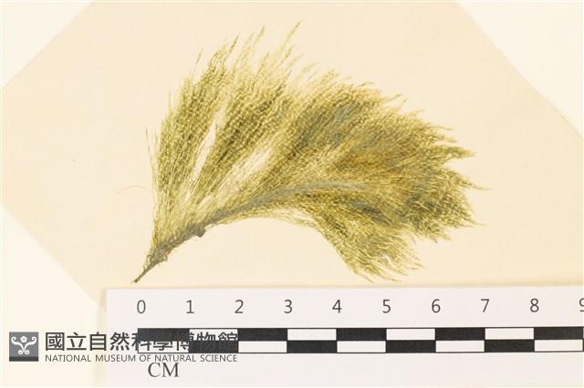 登錄號:A00005360藏品圖，第1張