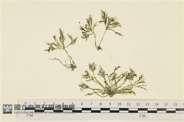 登錄號:A00000760藏品圖，第1張