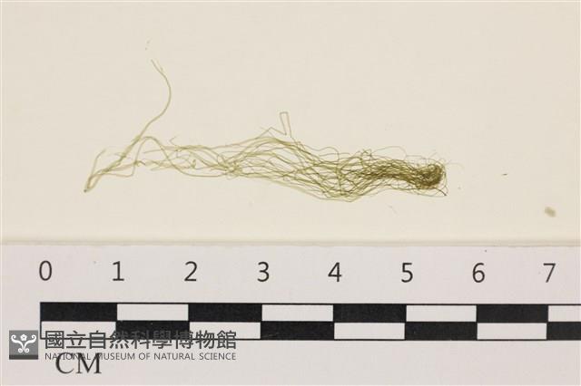 登錄號:A00006200藏品圖，第1張