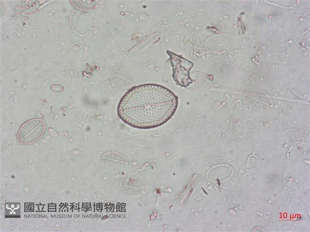 登錄號:A00004500藏品圖，第4張