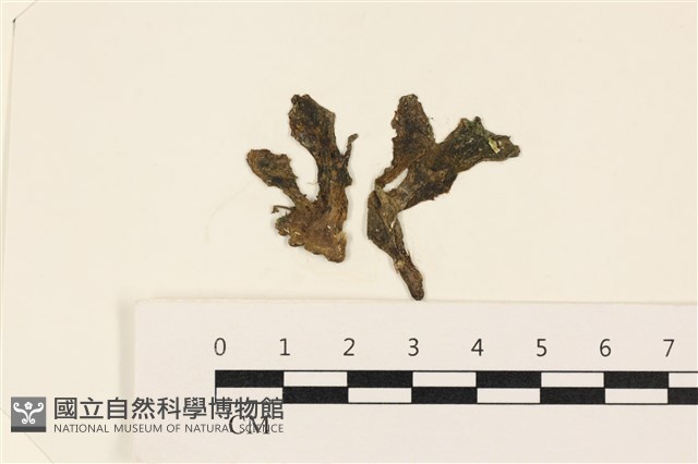 登錄號:A00003400藏品圖，第1張