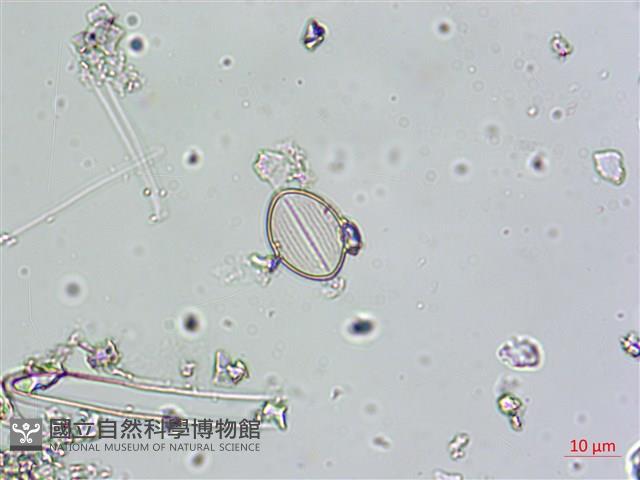 登錄號:A00004580藏品圖，第4張