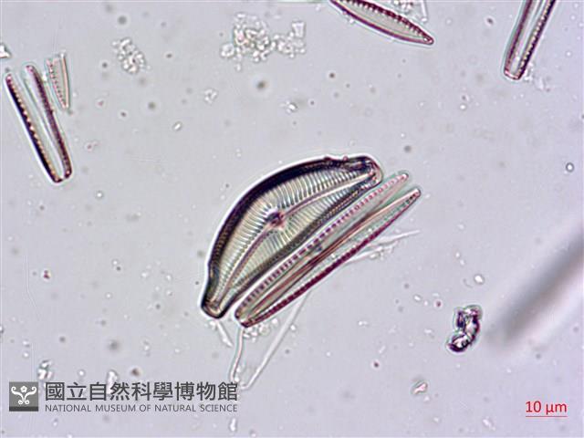 登錄號:A00004480藏品圖，第4張