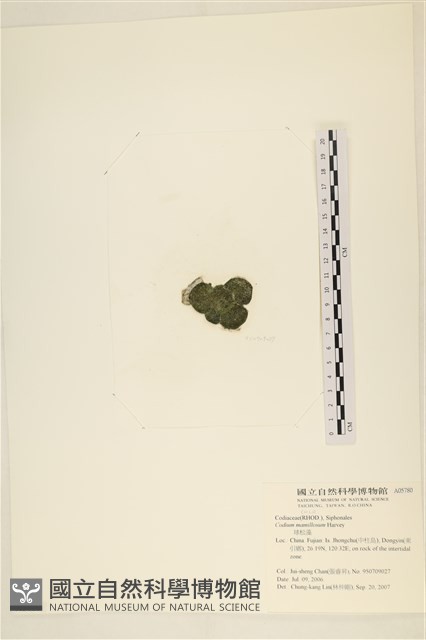 登錄號:A00005780藏品圖，第3張