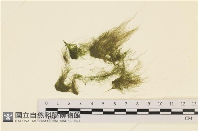 登錄號:A00001780藏品圖，第1張