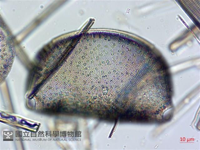 登錄號:A00004633藏品圖，第3張