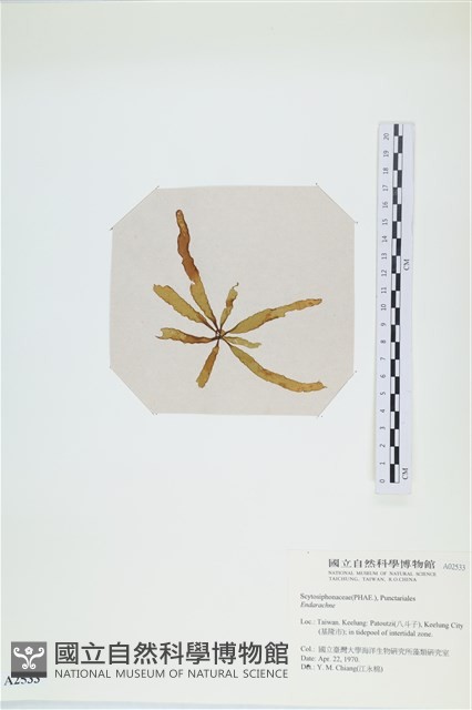 登錄號:A00002533藏品圖，第3張