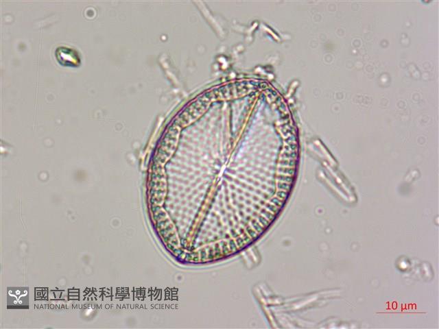 登錄號:A00004533藏品圖，第3張