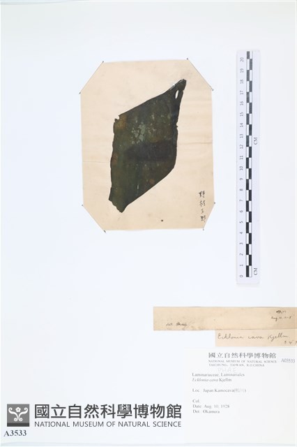 登錄號:A00003533藏品圖，第3張