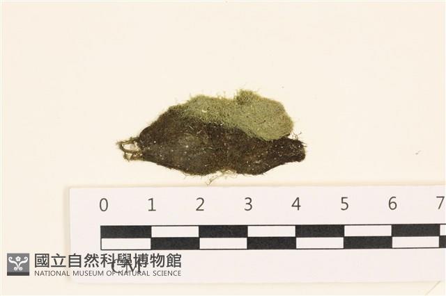 登錄號:A00002433藏品圖，第1張