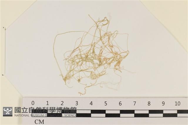 登錄號:A00002333藏品圖，第1張