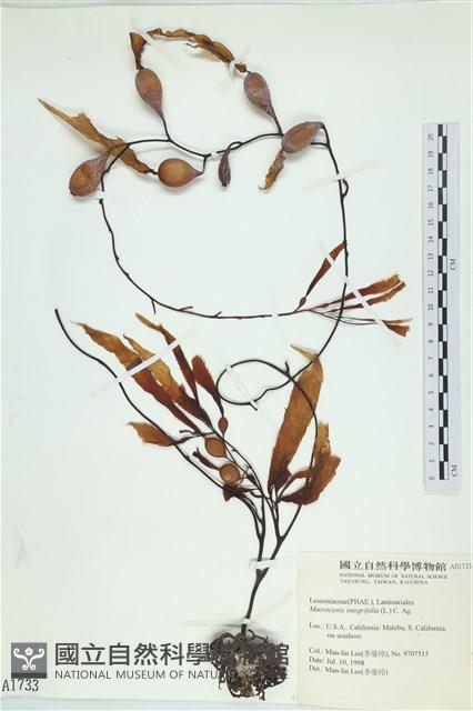 登錄號:A00001733藏品圖，第1張