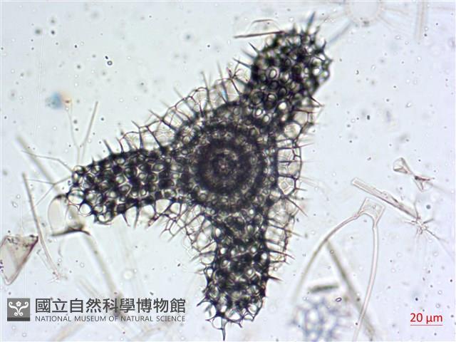 登錄號:A00004653藏品圖，第3張