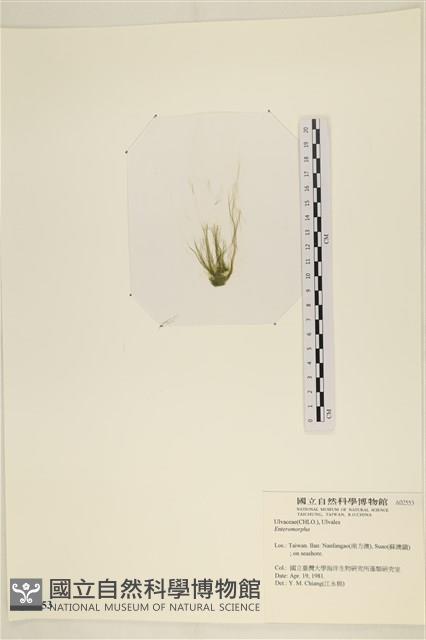 登錄號:A00002553藏品圖，第3張
