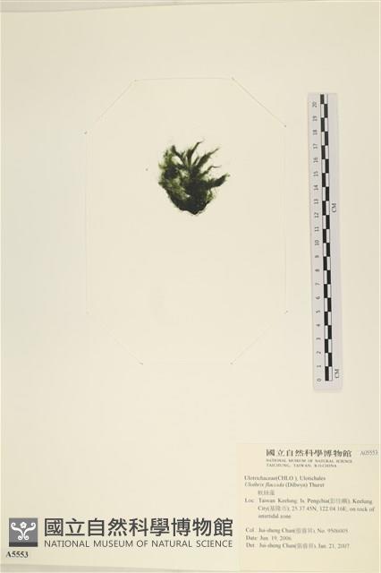 登錄號:A00005553藏品圖，第3張