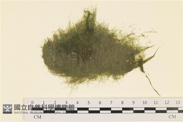 登錄號:A00000223藏品圖，第1張