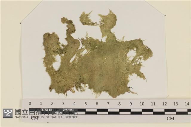 登錄號:A00002423藏品圖，第1張