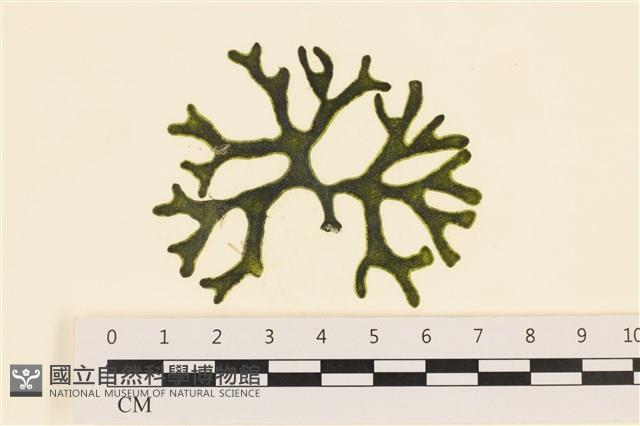 登錄號:A00005973藏品圖，第1張