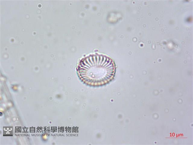 登錄號:A00004613藏品圖，第3張