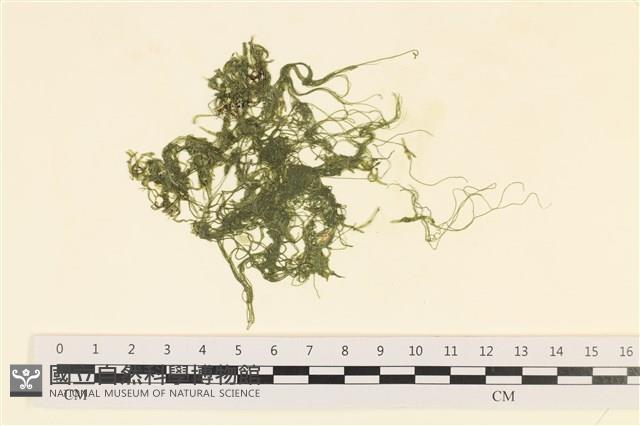 登錄號:A00005213藏品圖，第1張